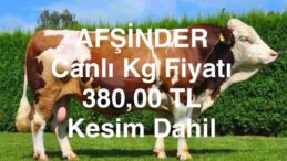 AFŞİNDER 2025 YILI KURBAN ORGANİZASYONU