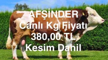 AFŞİNDER 2025 YILI KURBAN ORGANİZASYONU