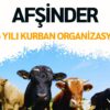 AFŞİNDER, Geleneksel Kurban Organizasyonu!